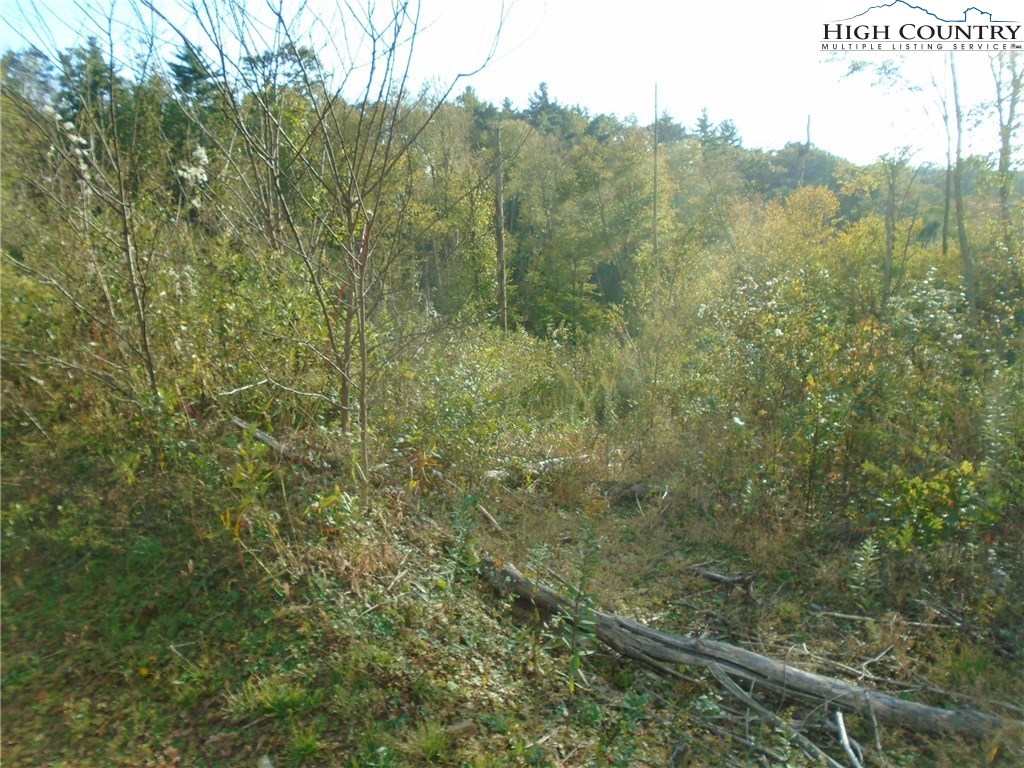 Pony Farm Road West Jefferson, NC 28694 - Photo 15 of 28 Gallery Image 15