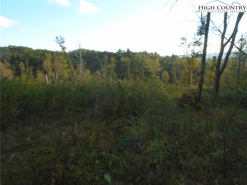 Pony Farm Road West Jefferson, NC 28694 - Photo 17 of 28 Gallery Image 17