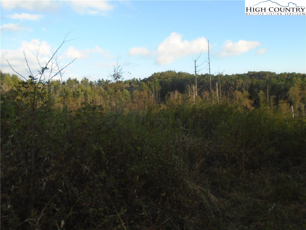 Pony Farm Road West Jefferson, NC 28694 - Photo 18 of 28 Gallery Image 18