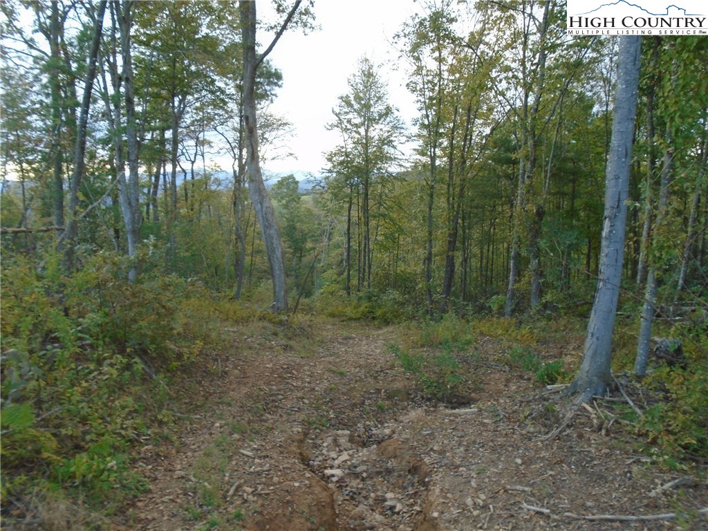 Pony Farm Road West Jefferson, NC 28694 - Photo 19 of 28 Gallery Image 19