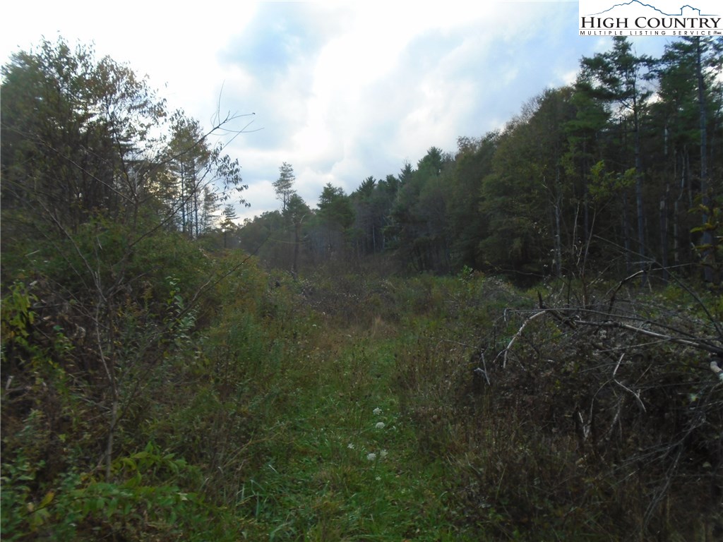 Pony Farm Road West Jefferson, NC 28694 - Photo 20 of 28 Gallery Image 20