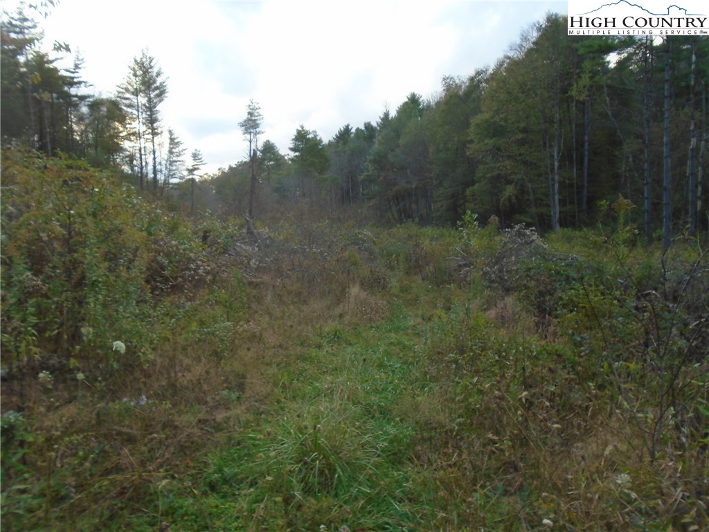 Pony Farm Road West Jefferson, NC 28694 - Photo 21 of 28 Gallery Image 21
