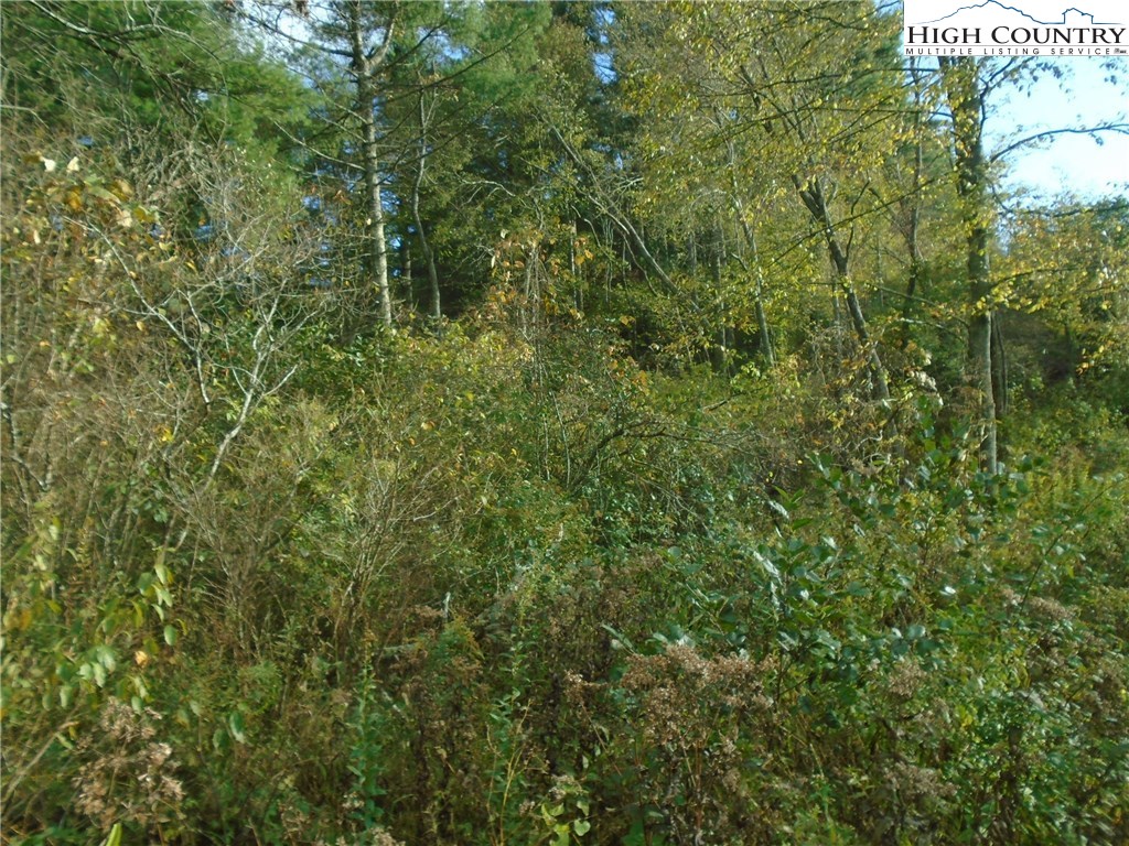 Pony Farm Road West Jefferson, NC 28694 - Photo 23 of 28 Gallery Image 23