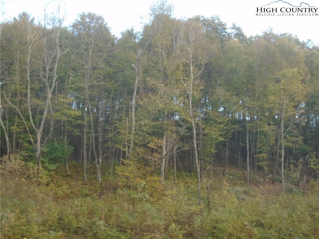 Pony Farm Road West Jefferson, NC 28694 - Photo 24 of 28 Gallery Image 24