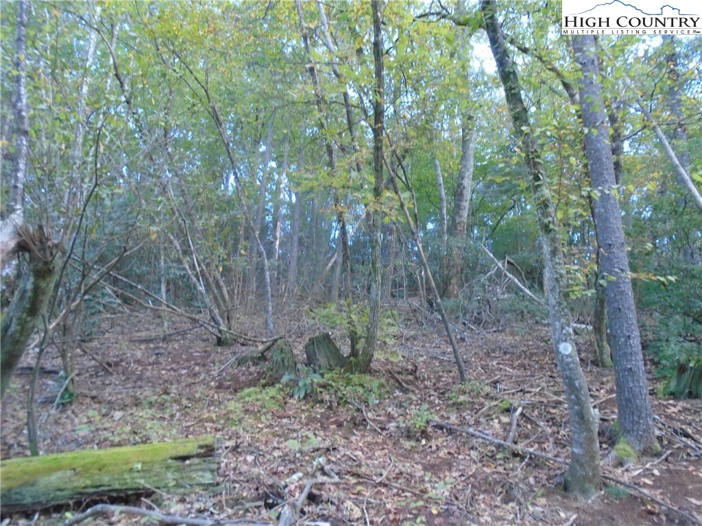 Pony Farm Road West Jefferson, NC 28694 - Photo 25 of 28 Gallery Image 25