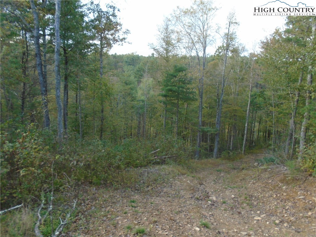 Pony Farm Road West Jefferson, NC 28694 - Photo 27 of 28 Gallery Image 27