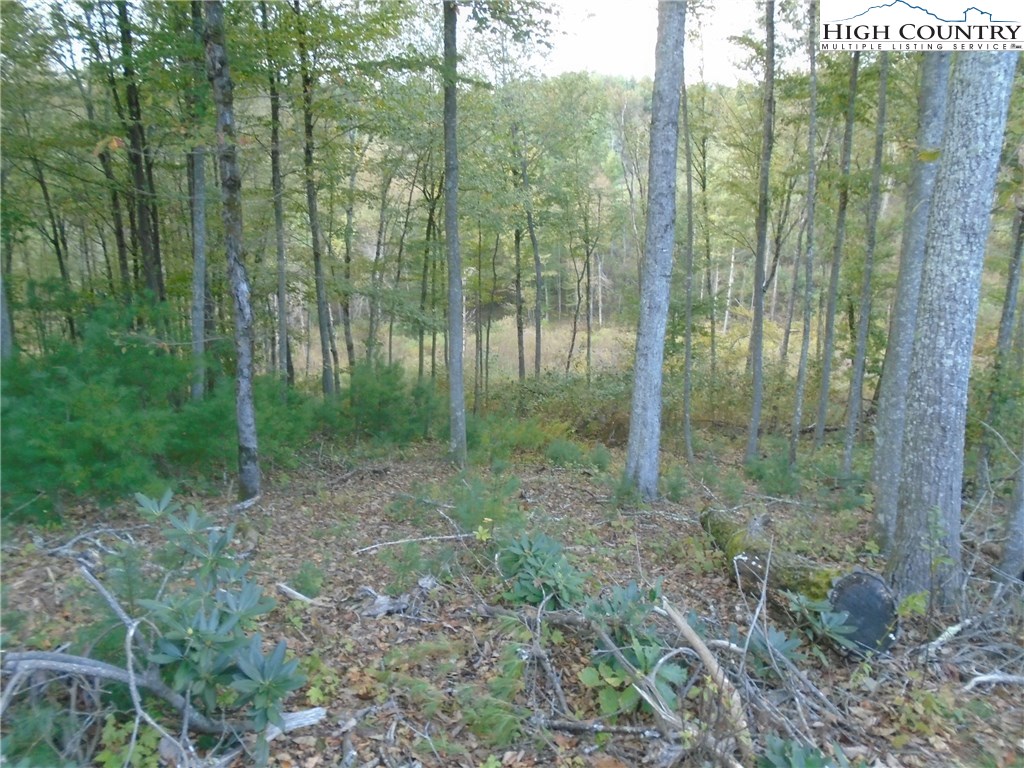 Pony Farm Road West Jefferson, NC 28694 - Photo 28 of 28 Gallery Image 28