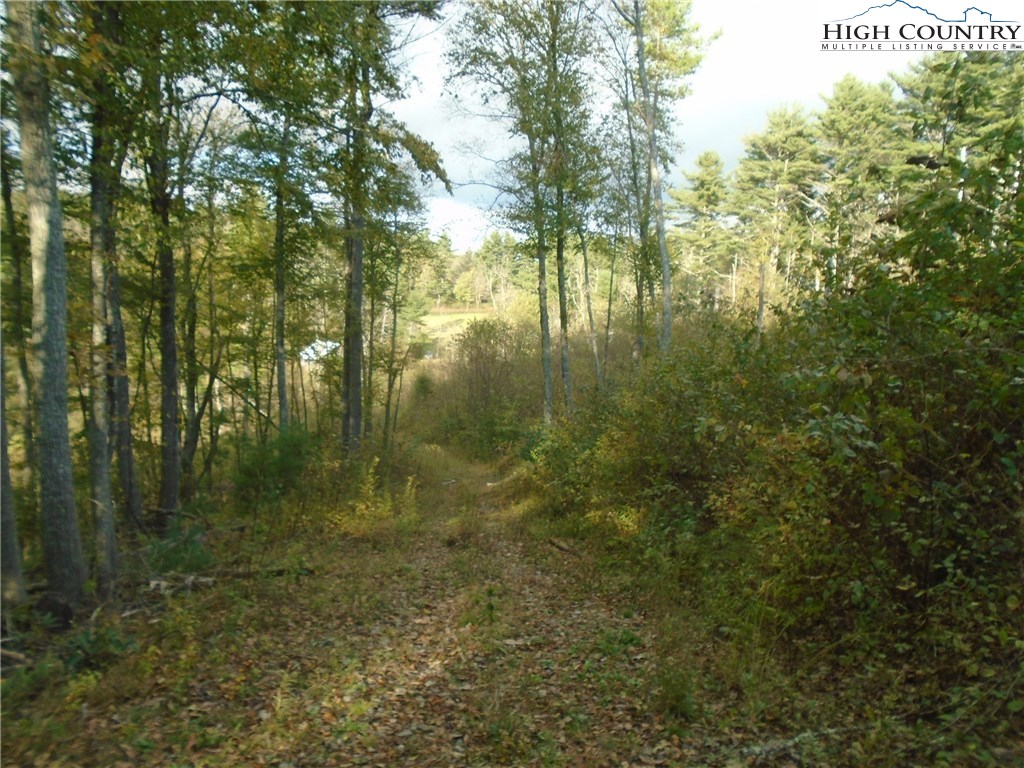 Pony Farm Road West Jefferson, NC 28694 - Photo 8 of 28 Gallery Image 8