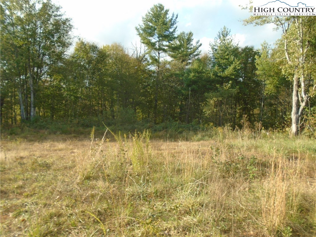 Pony Farm Road West Jefferson, NC 28694 - Photo 10 of 28 Gallery Image 10