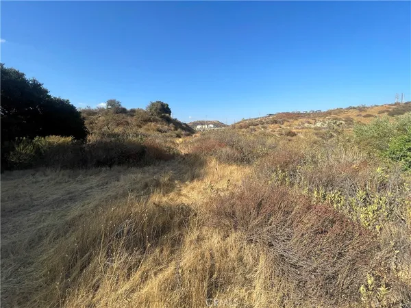 $5,000,000 | 0 Newhall Avenue, Newhall, CA 91321
