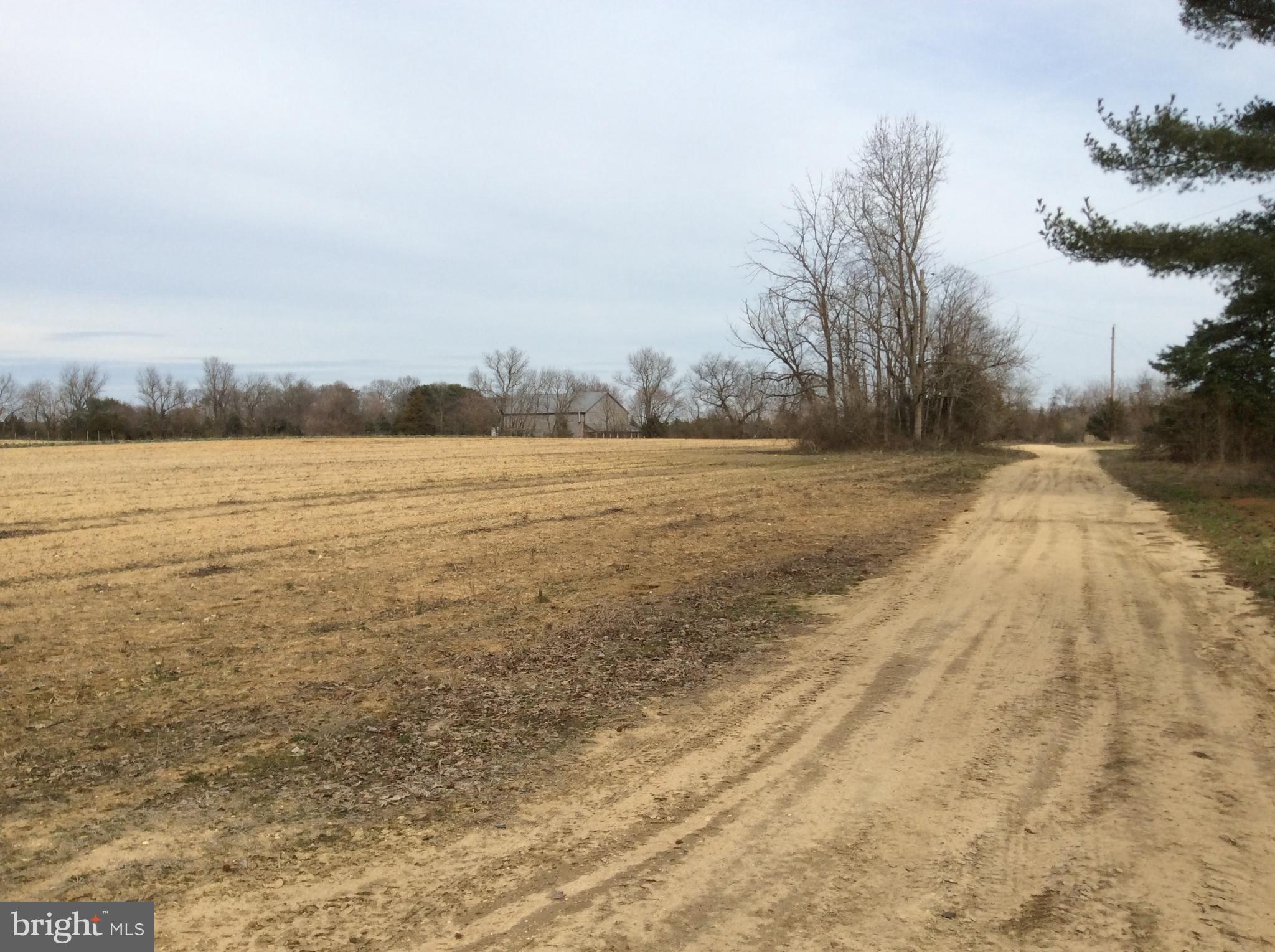 435 Garrison Road Bridgeton, NJ 08302 - Photo 12 of 15