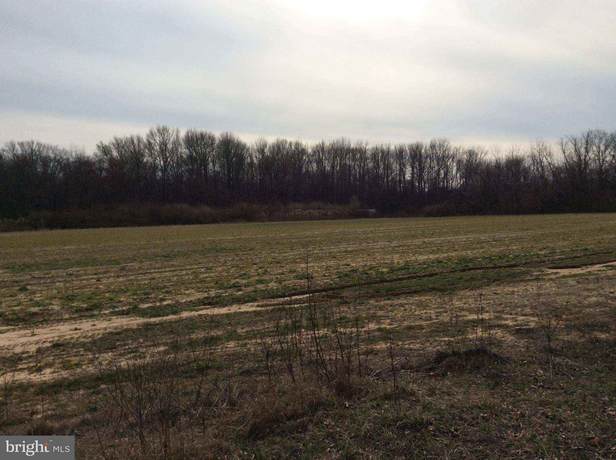 435 Garrison Road Bridgeton, NJ 08302 - Photo 15 of 15