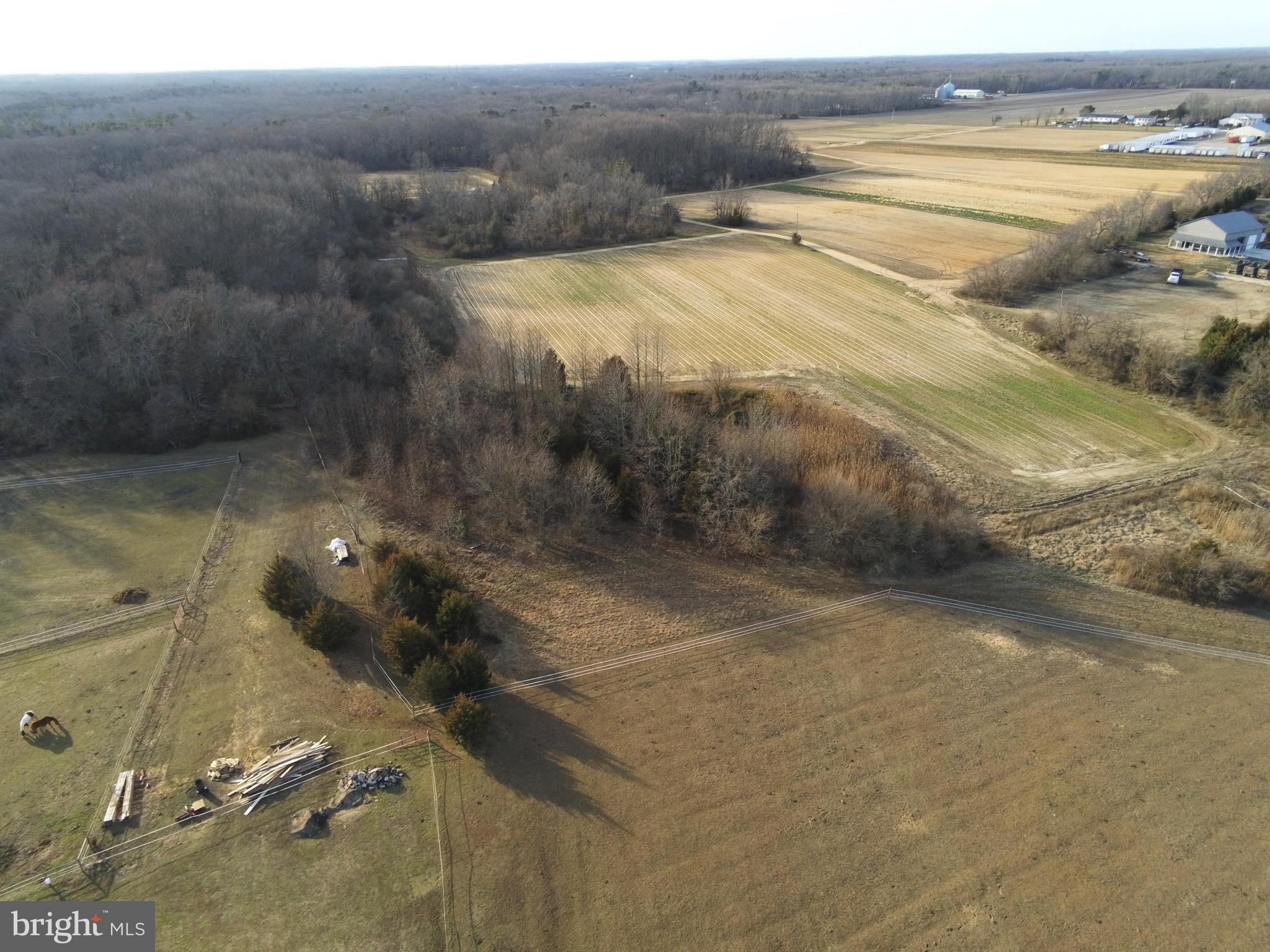 435 Garrison Road Bridgeton, NJ 08302 - Photo 8 of 15