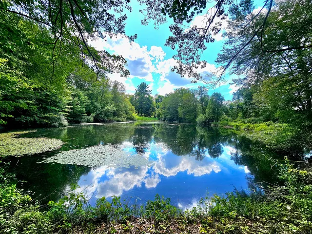 a view of a lake with a yard and outdoor seating