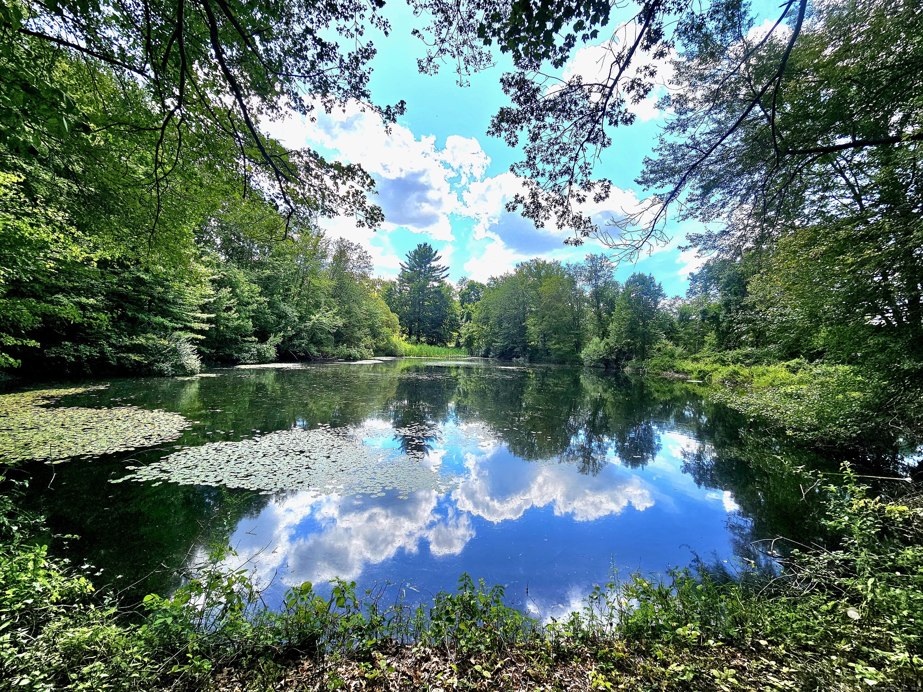 1415 North Road Killingly, CT 06241 - Photo 3 of 20 a view of a lake with a yard and outdoor seating