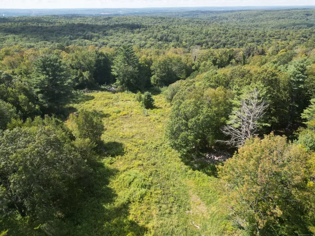 a view of a lake with a mountain in the background