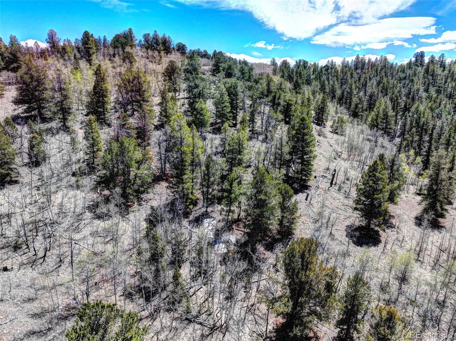 182 Starling Way Como, CO 80432 - Photo 17 of 37