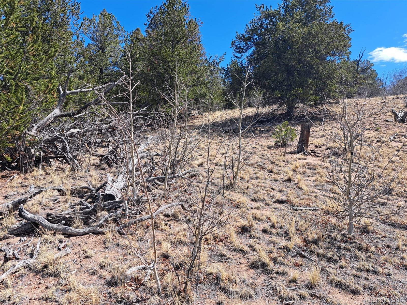 182 Starling Way Como, CO 80432 - Photo 30 of 37 a view of a yard with a tree