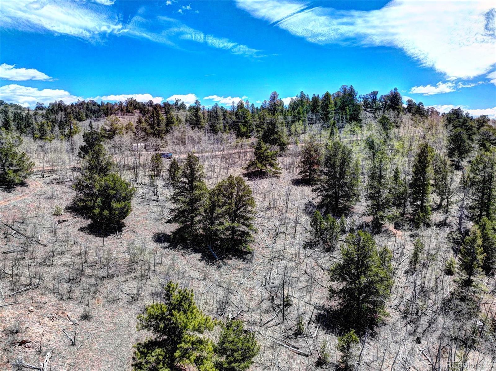 182 Starling Way Como, CO 80432 - Photo 7 of 37 a view of a yard with mountain and a forest