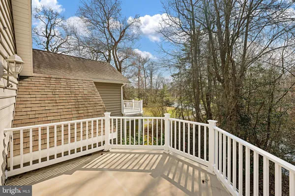 a view of a backyard with large trees