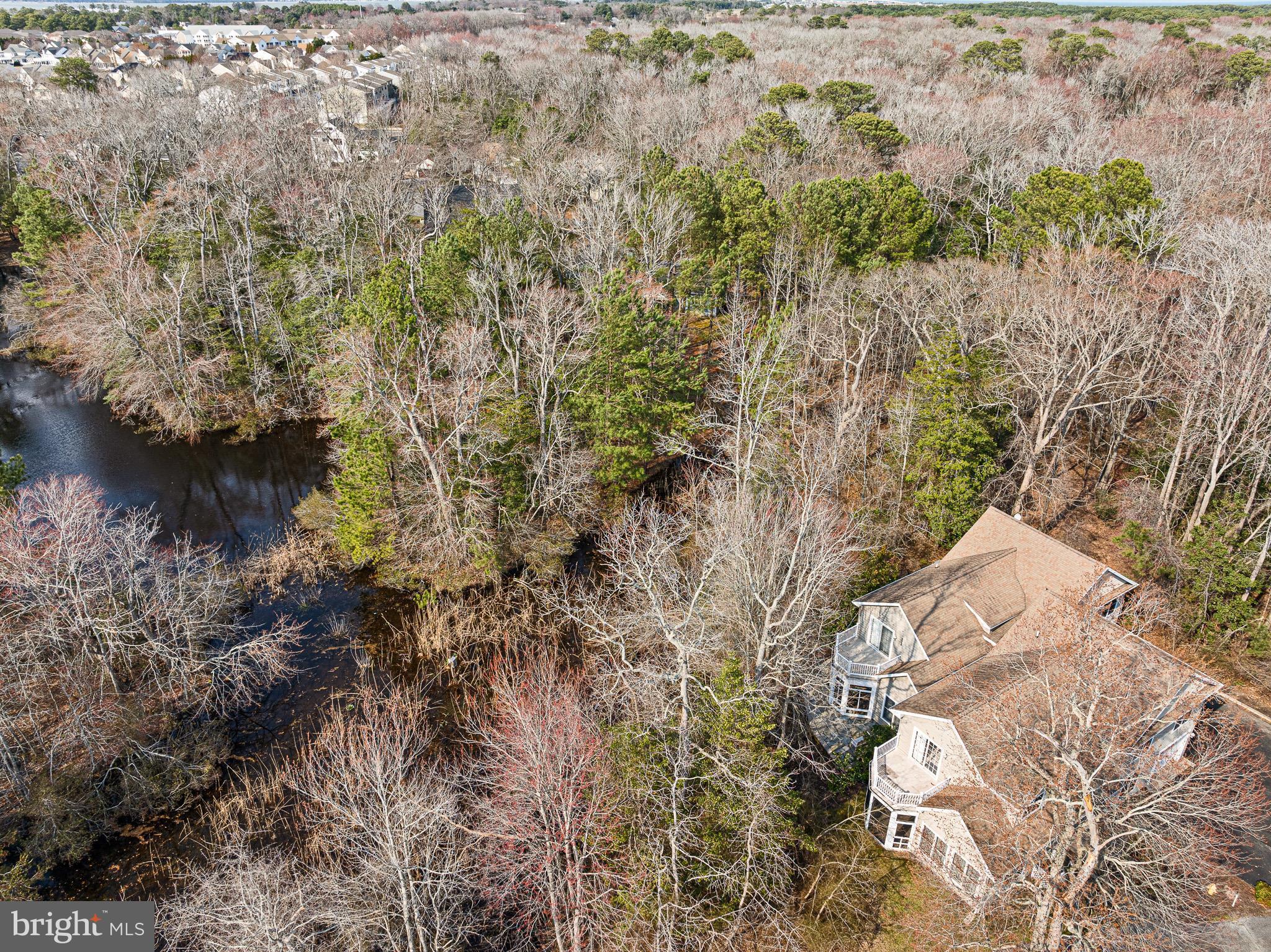 38744 Skipjack Village Road, Unit 14 Bethany Beach, DE 19930 - Photo 46 of 70 a view of a lake with lots of trees