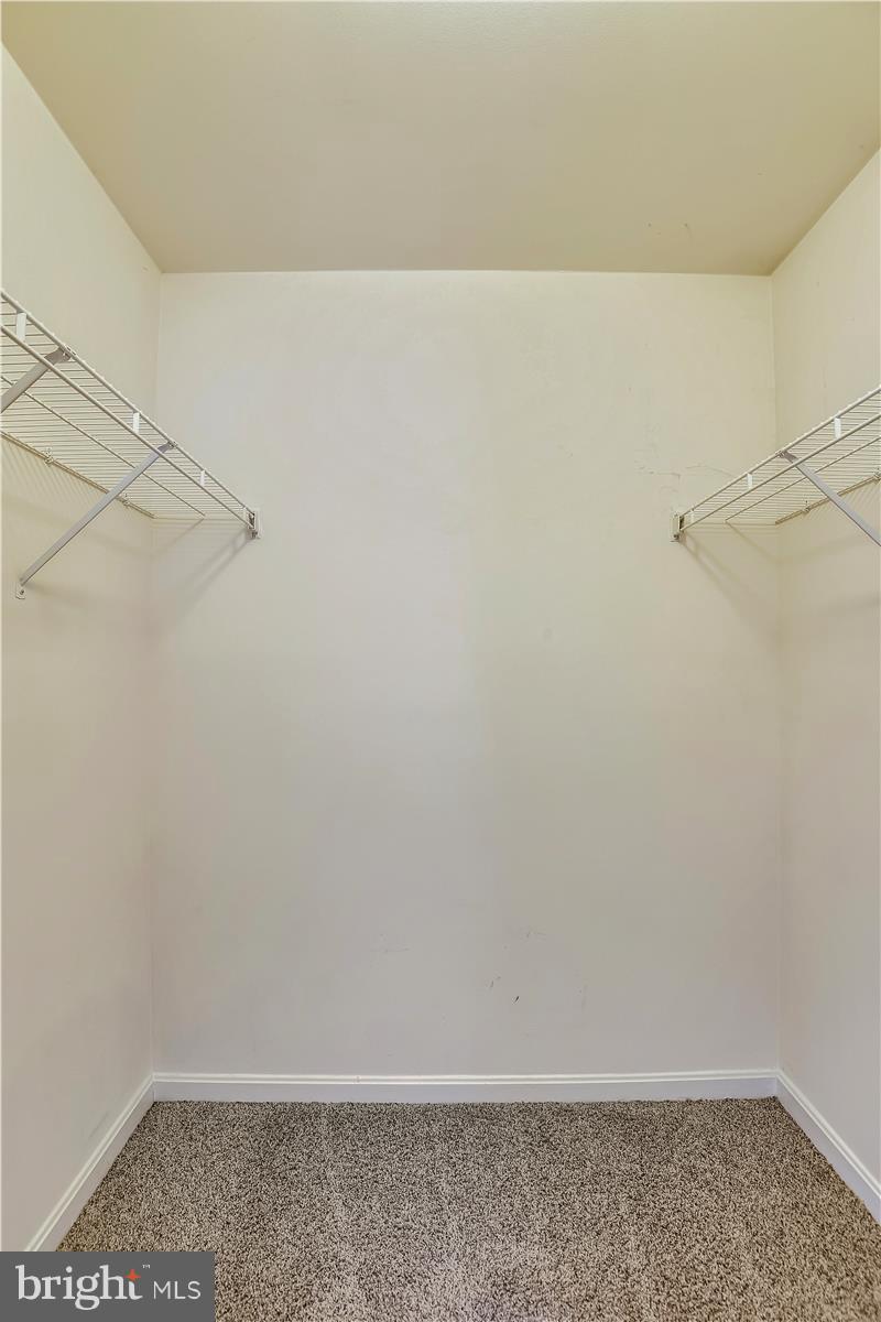 662 Howards Loop Annapolis, MD 21401 - Photo 18 of 37 Master Walk-in Closet