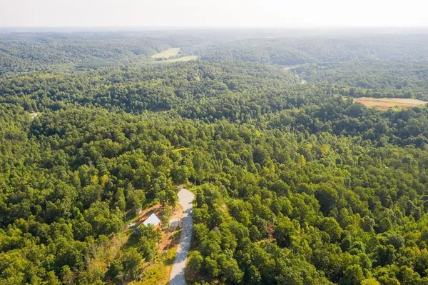 a view of a city with lush green forest