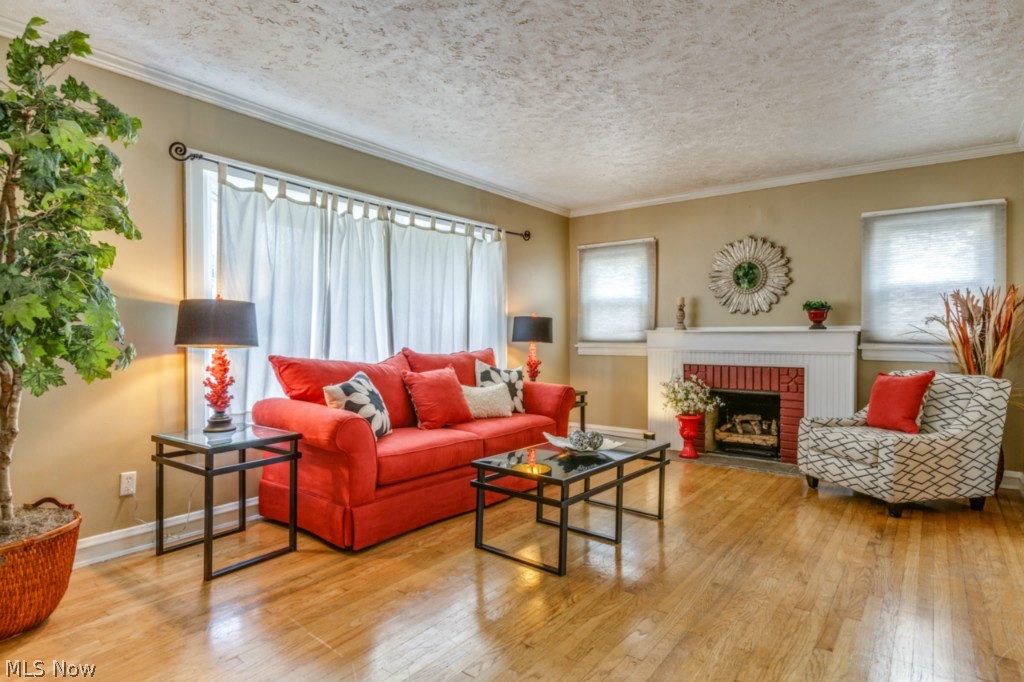 1261 Plainfield Road Cleveland, OH 44121 - Photo 4 of 24 LIVING ROOM