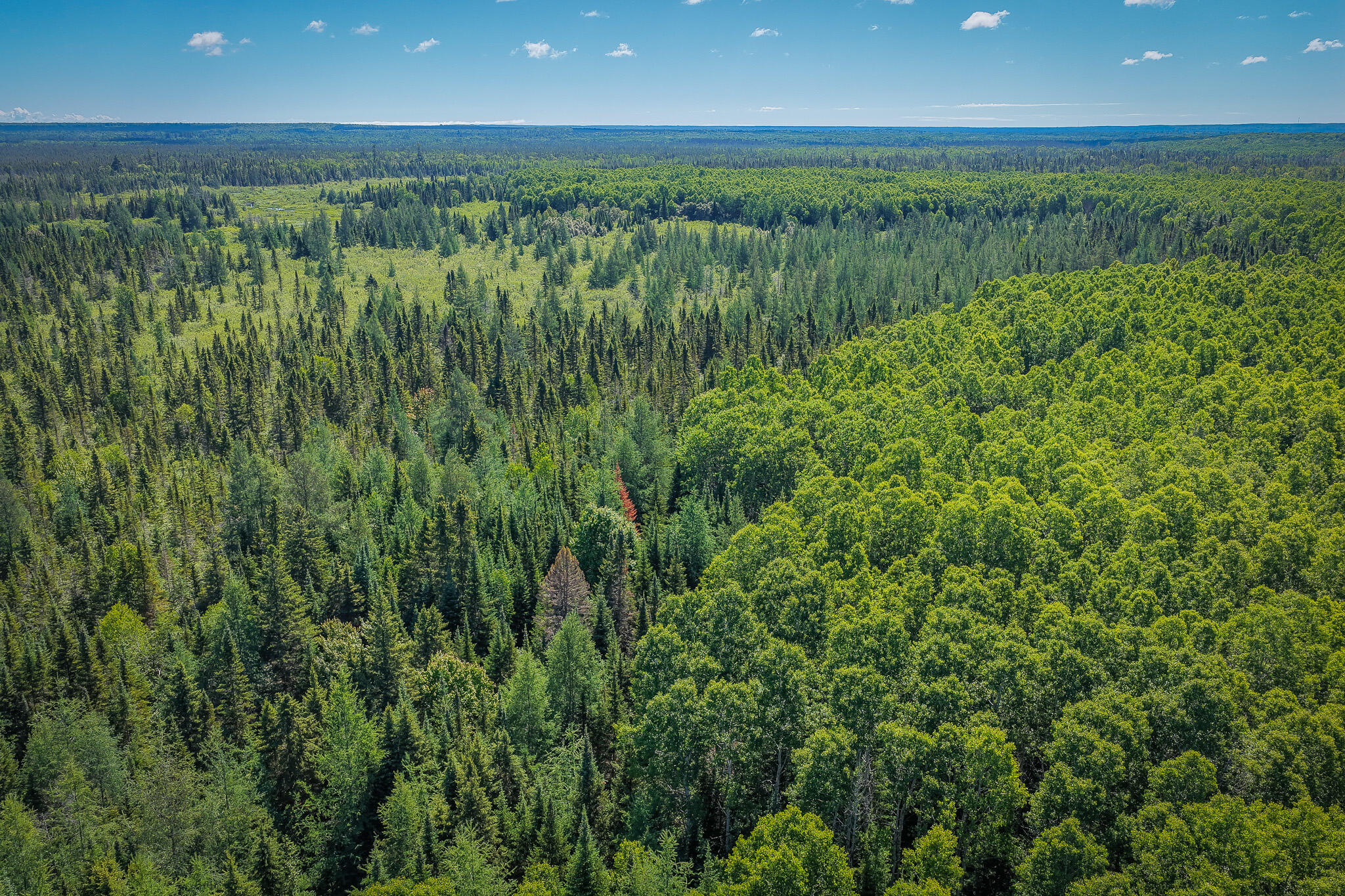 South North Hulbert Road Eckerman, MI 49728 - Photo 11 of 29 DJI_20260623030642_0013_D