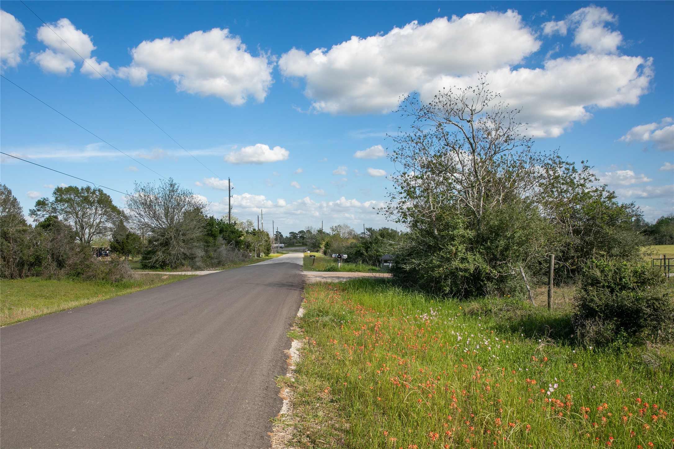 Tbd Trenckmann Road Sealy, TX 77474 - Photo 14 of 14 a view of a lake with a big yard