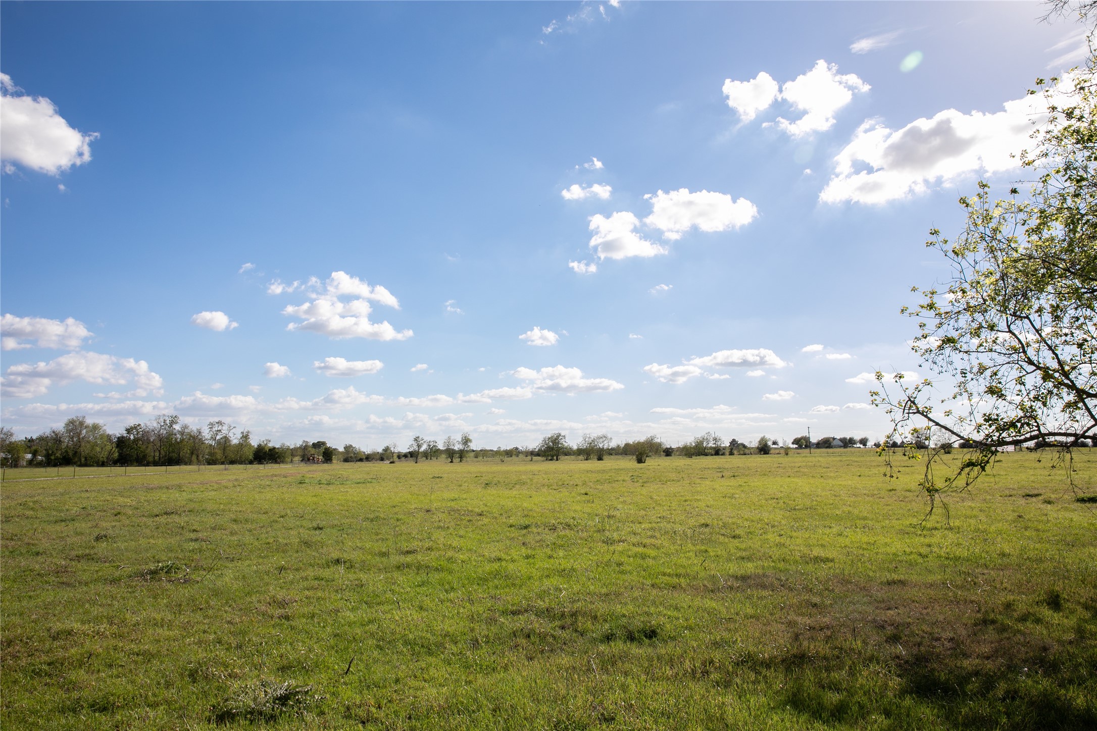 Tbd Trenckmann Road Sealy, TX 77474 - Photo 4 of 14