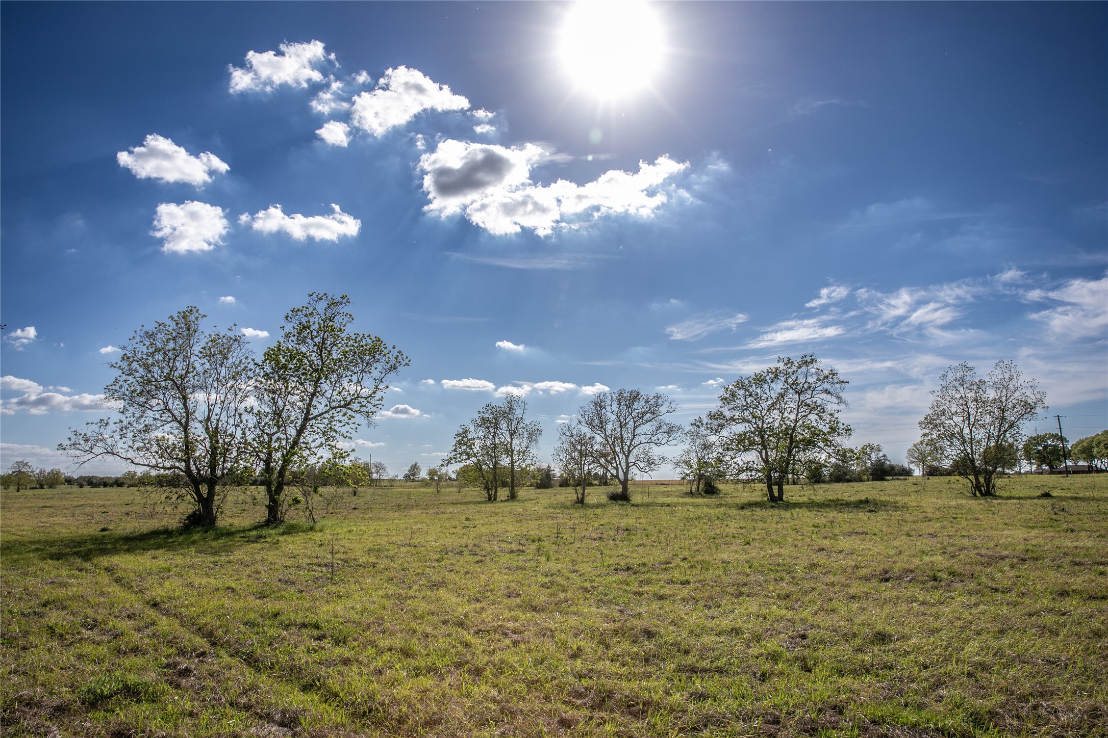 Tbd Trenckmann Road Sealy, TX 77474 - Photo 6 of 14 a view of a house with a big yard