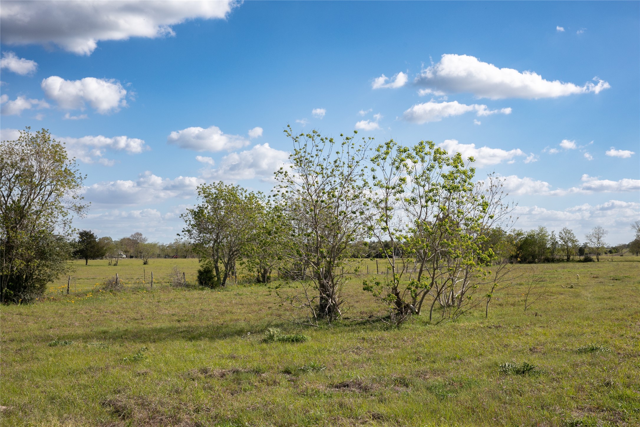 Tbd Trenckmann Road Sealy, TX 77474 - Photo 8 of 14 a view of a lake with a yard