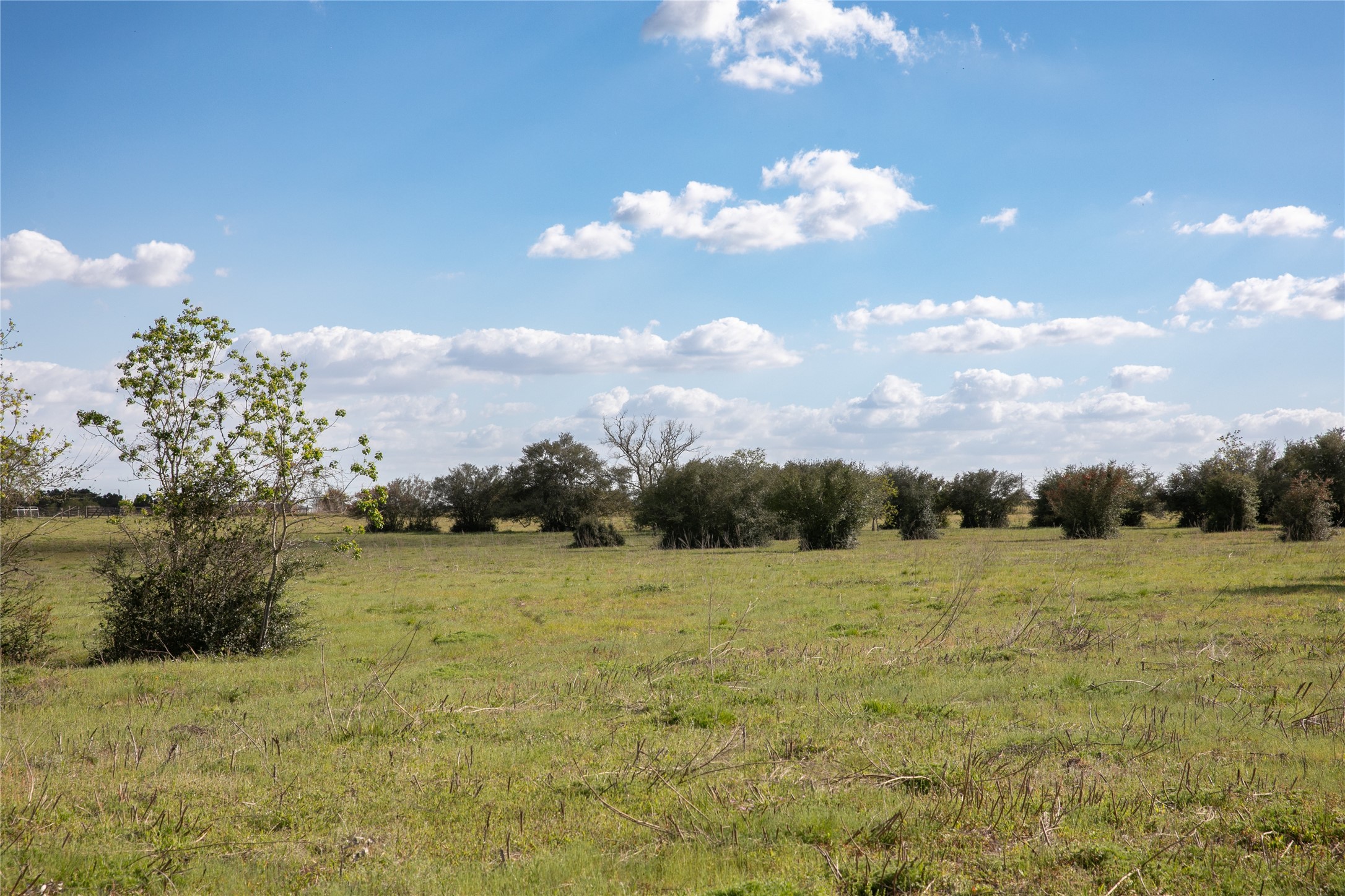 Tbd Trenckmann Road Sealy, TX 77474 - Photo 9 of 14 a view of a lake in middle of forest