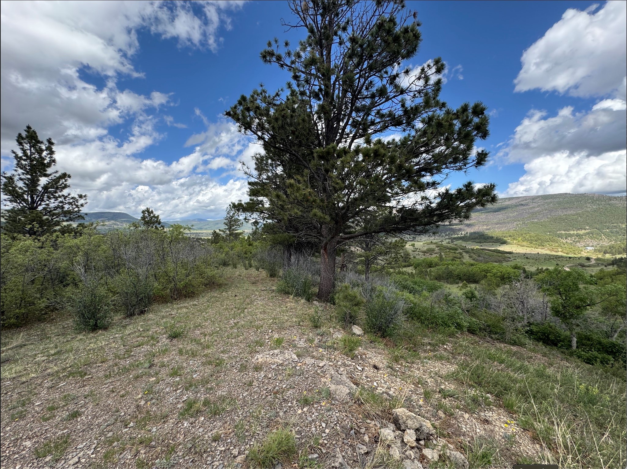 21.745-ac Los Alamitos Road Chacon, NM 87713 - Photo 5 of 10