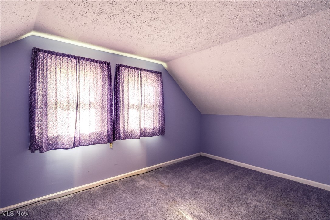 2123 Martin Road Mogadore, OH 44260 - Photo 20 of 35 Bonus room with vaulted ceiling, a textured ceiling, baseboards, and carpet