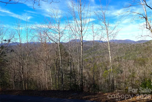 $55,000 | Tbd Ruffed Grouse Road, Unit L045, Brevard, NC 28712