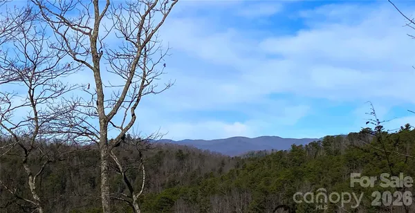 a view of a top of a house with a mountain