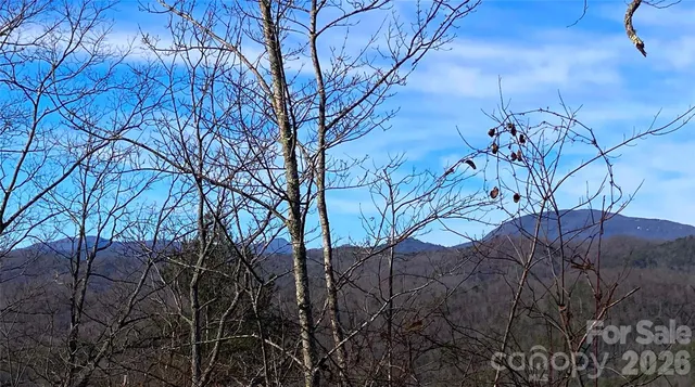 $55,000 | Tbd Ruffed Grouse Road, Unit L045, Brevard, NC 28712