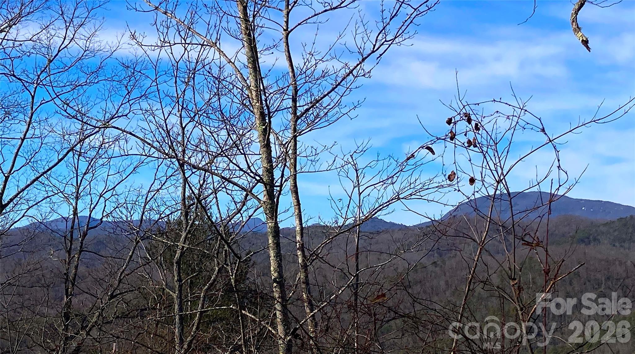 Tbd Ruffed Grouse Road, Unit L045 Brevard, NC 28712 - Photo 3 of 4