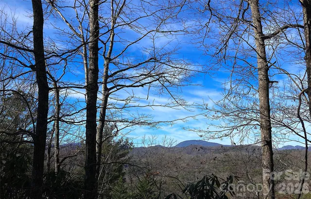 $55,000 | Tbd Ruffed Grouse Road, Unit L045, Brevard, NC 28712