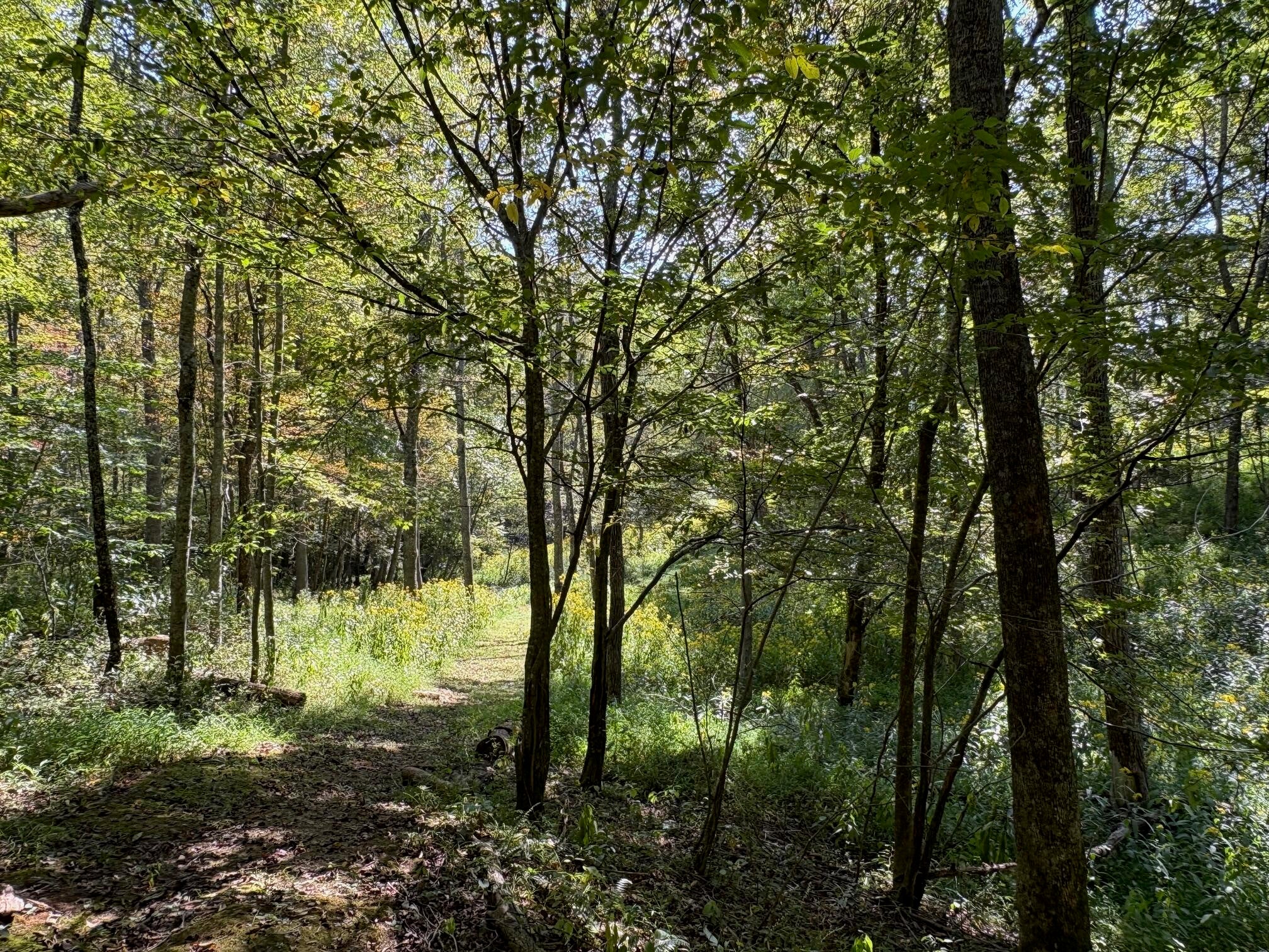 6652 Servia Road Duck, WV 25063 - Photo 64 of 69 Gallery Image 64