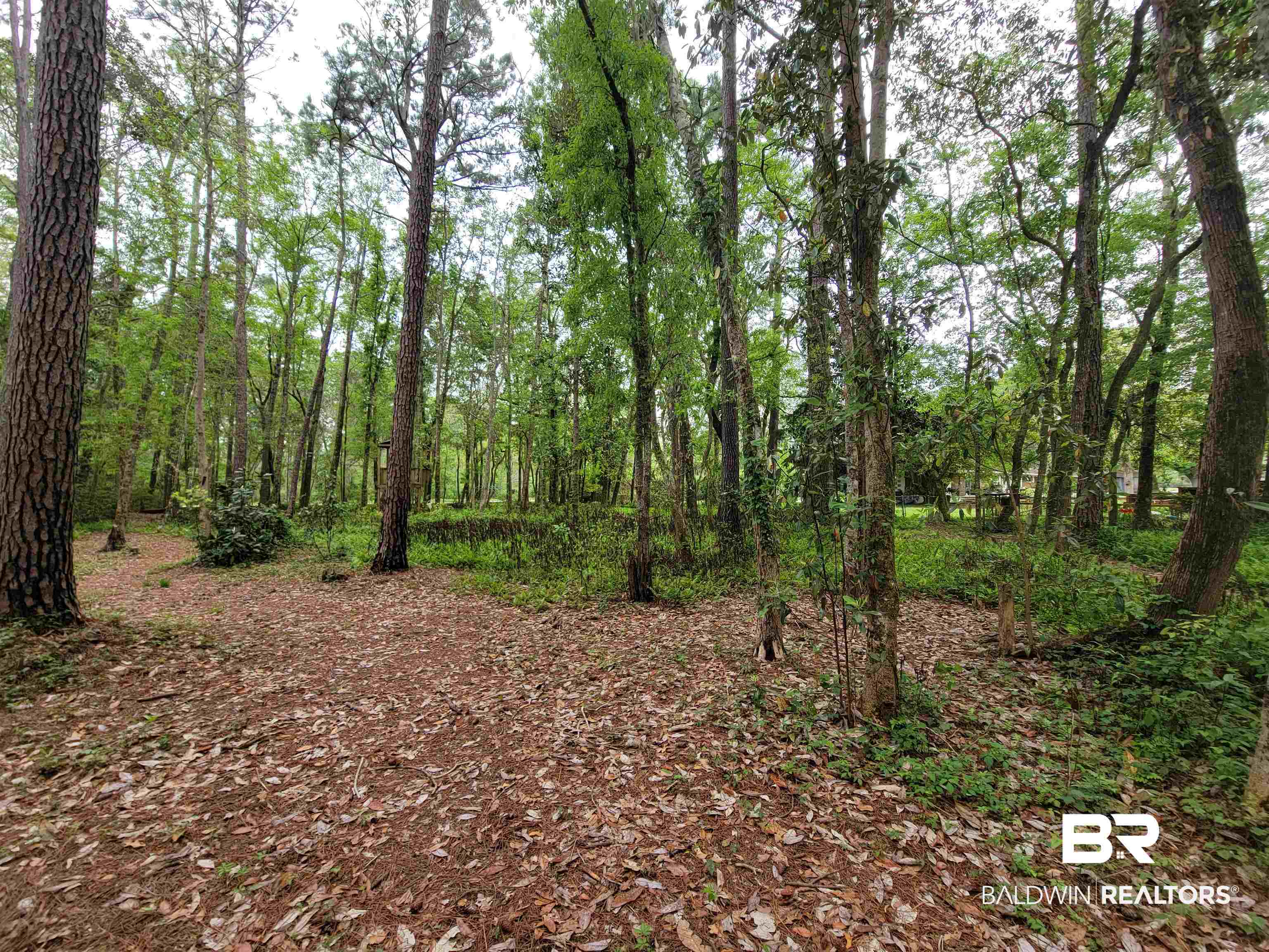 10 County Road Foley, AL 36535 - Photo 10 of 17 Gallery Image 10
