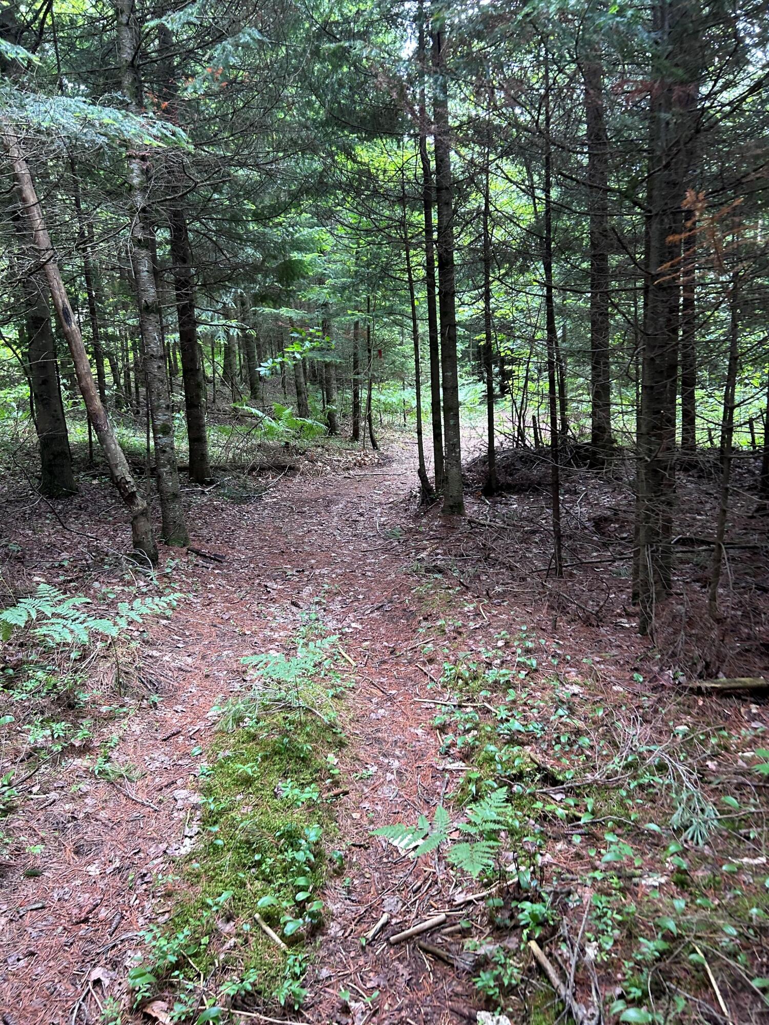 0 Cannon Corners Road Mooers, NY 12958 - Photo 1 of 14 1