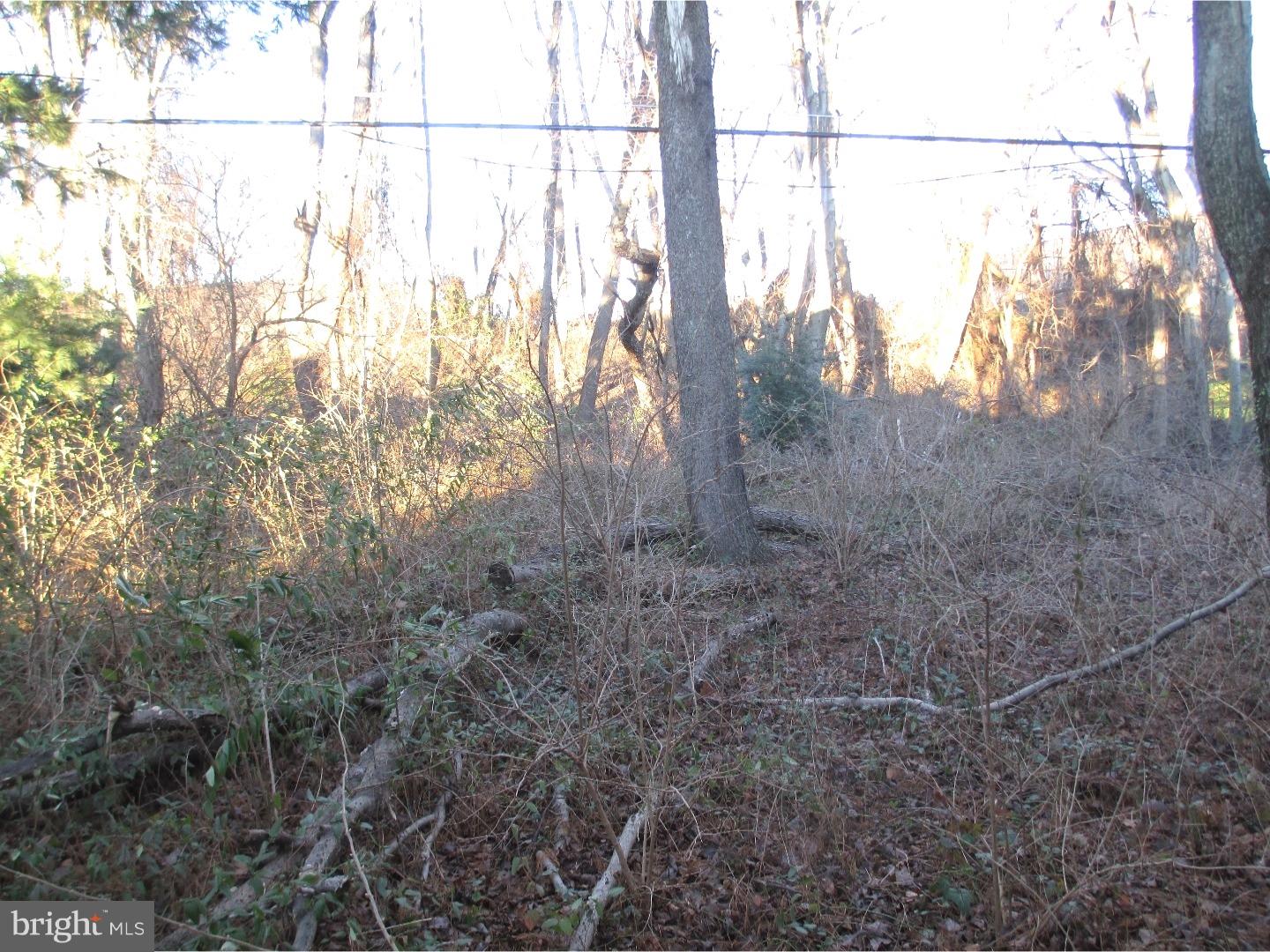 653 Kismet Road Philadelphia, PA 19115 - Photo 5 of 7 Back Yard