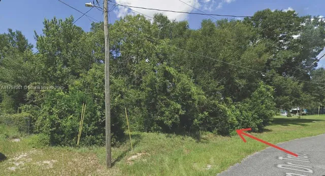 a view of outdoor space and yard