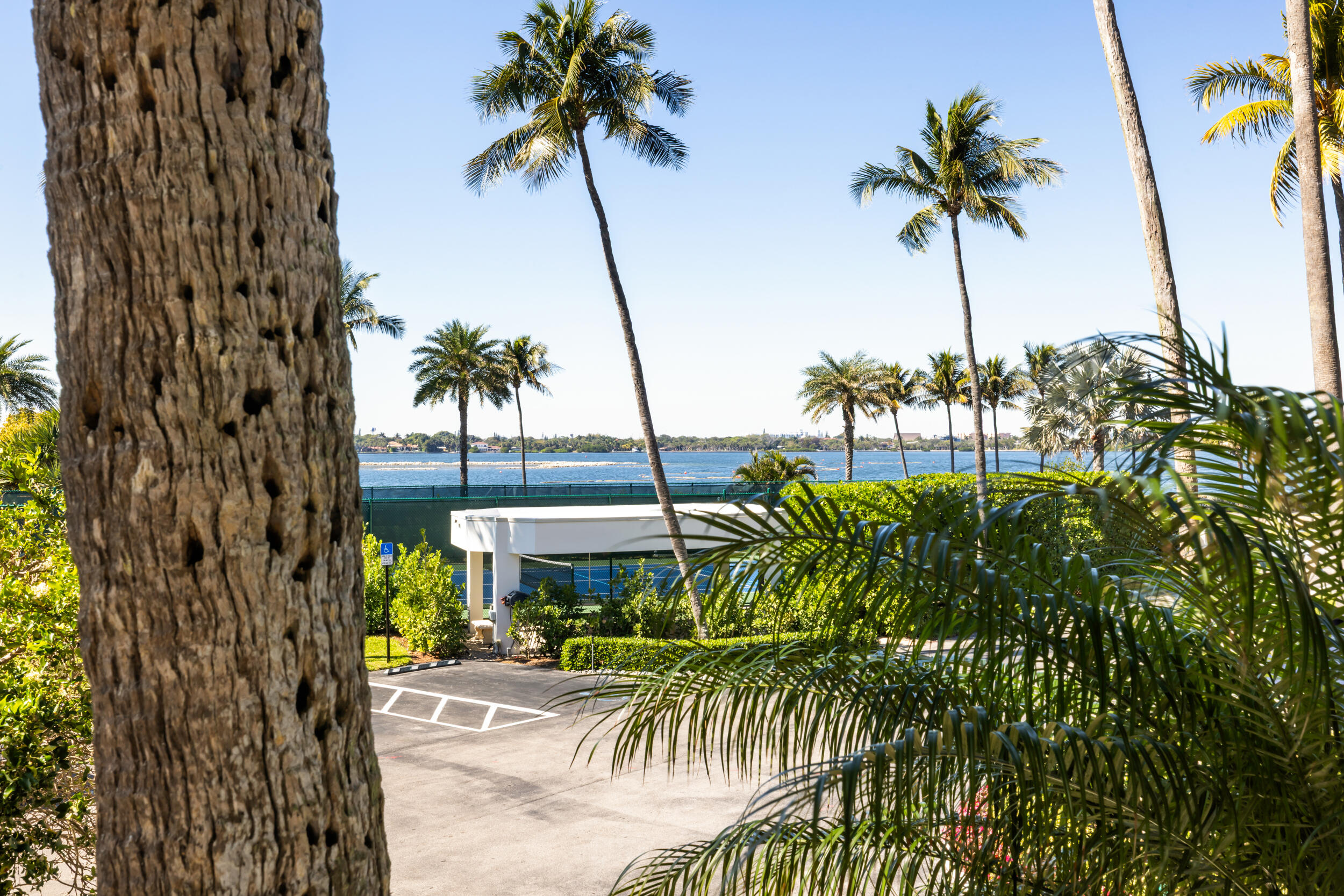 3140 South Ocean Boulevard, Unit 101S Palm Beach, FL 33480 - Photo 49 of 64 33_et6a5225