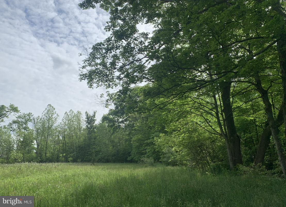 Lower Buck Ridge Road Blain, PA 17006 - Photo 2 of 7 Gallery Image 2