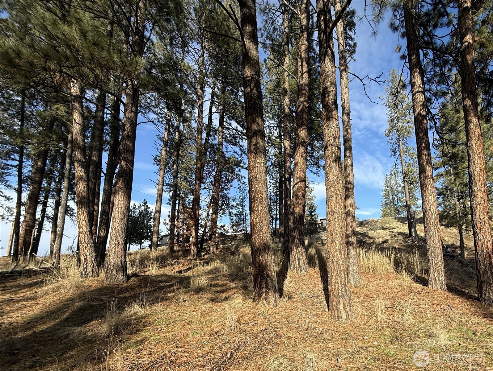 0 Adams Street Republic, WA 99166 - Photo 1 of 13