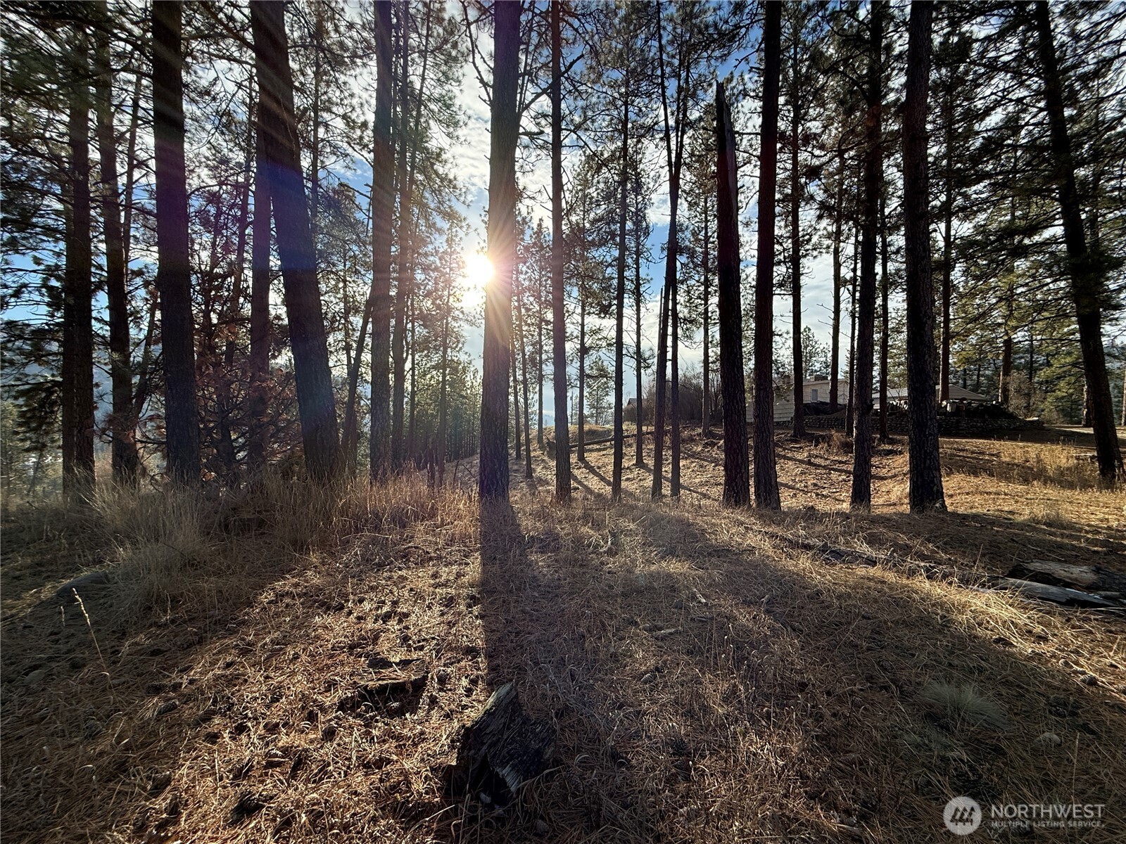 0 Adams Street Republic, WA 99166 - Photo 11 of 13